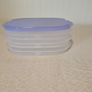 Blue and Clear Food Storage Container